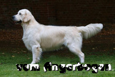I-Wurf