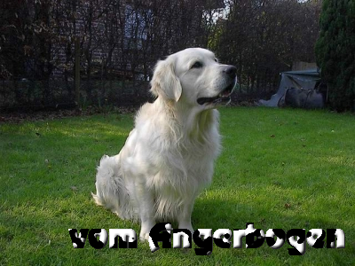 D-Wurf 3