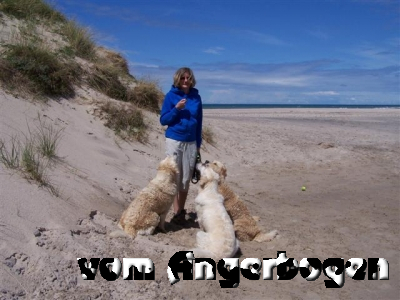 Urlaub in Dänemark