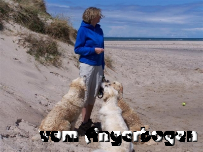 Urlaub in Dänemark