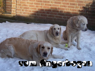 Damen im Schnee