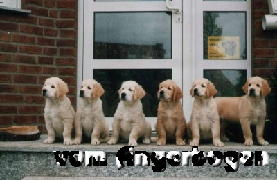 Bilder des A-Wurfs 1