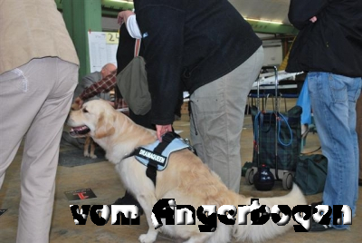 Ausstellung Rheinberg