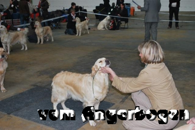 Ausstellung Rheinberg