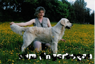 Bilder des D-Wurfs 33