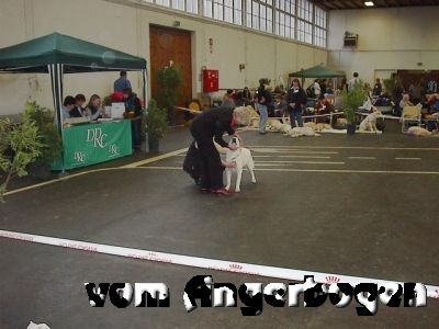 Herrenberg 4