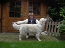 Unsere Hunde