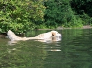 Wasser-Training 14.07.10