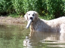 Wasser-Training 14.07.10