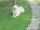 Jule_2