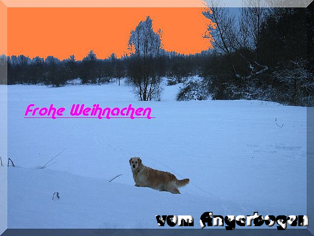 Weihnachten_1