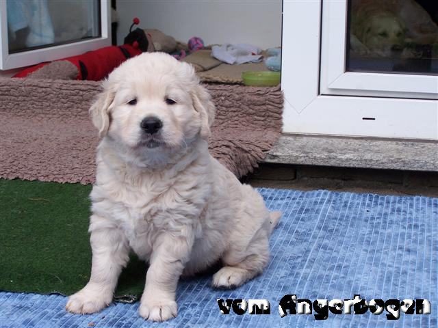 Jule vom Angerbogen_1